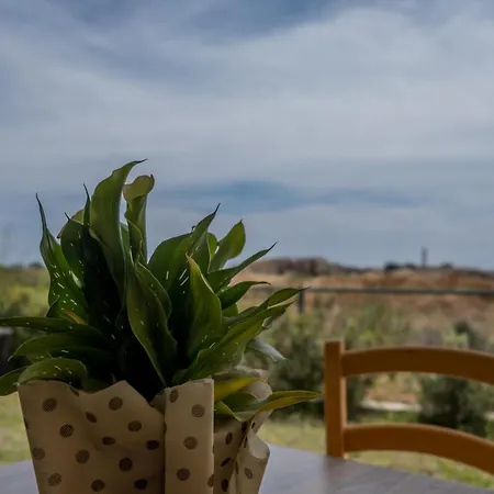 Apartment Lighthouse Beach View Paphos